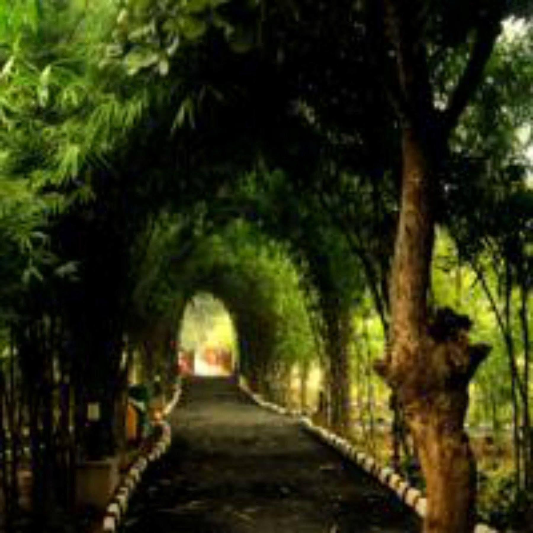 Lemon Tree Wildlife Resort, Bandhavgarh Tāla Exteriör bild