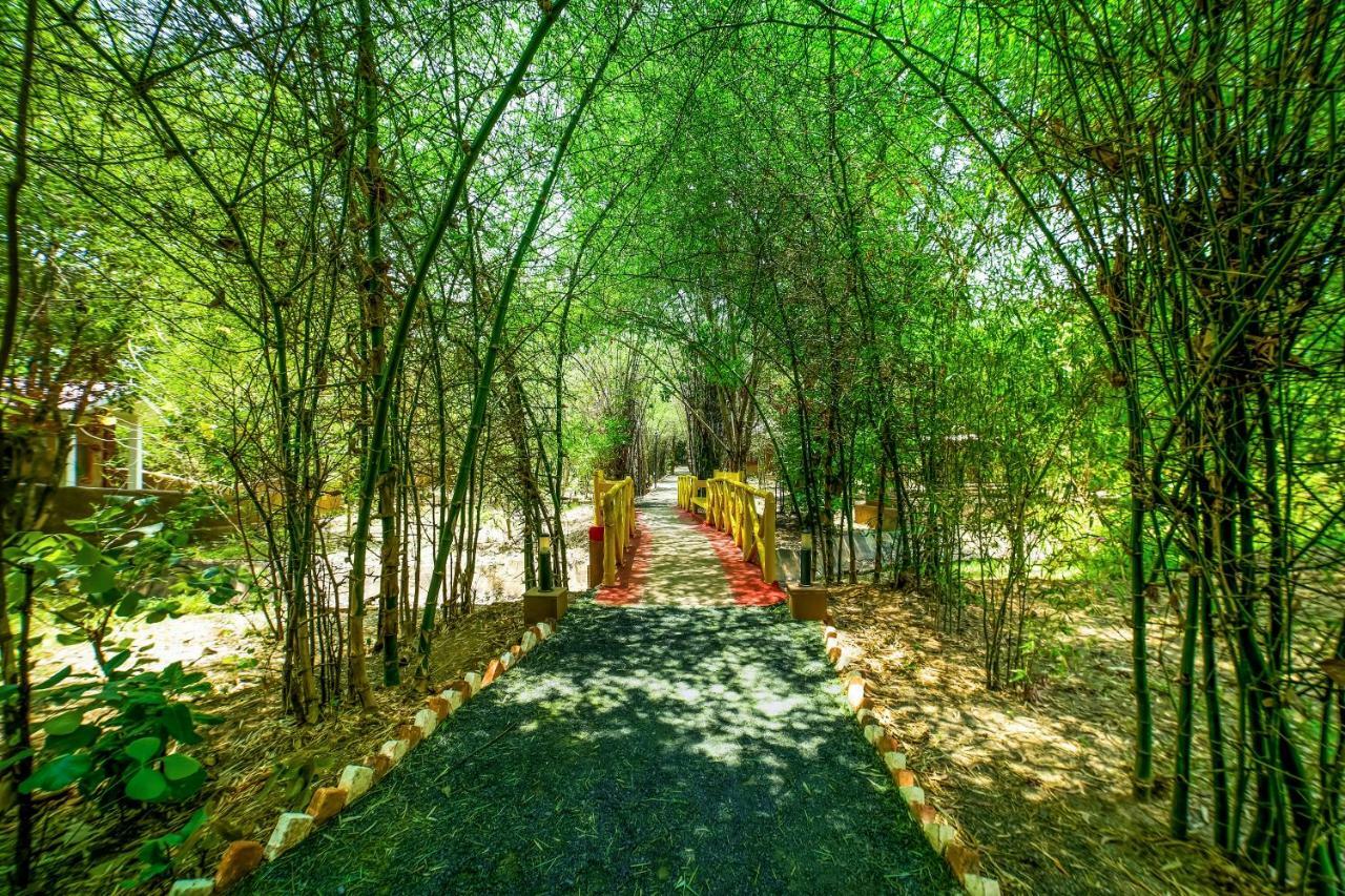 Lemon Tree Wildlife Resort, Bandhavgarh Tāla Exteriör bild